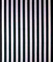 Daniel Buren, avril 1969, Paris, France
Peinture acrylique blanche sur toile de coton tissé à rayures blanches et noires, alternées et verticales, de 8,7 cm (± 0,3) de large chacune.
253 x 213,5 cm (sur toile libre). 242,5 x 204,5 cm (sur châssis).